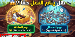 ​هل تنام النملة حقاً؟ السر العجيب الذي يخفيه أصغر كائن على الأرض!